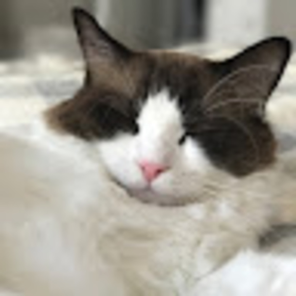 Meet your Posher, Jacquilyn